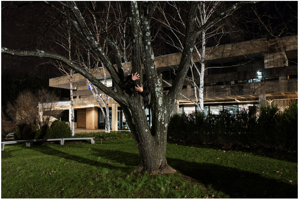 Scattered Nightmares: Treelogy - Bryan Segovia, Student, Rockland Community College
