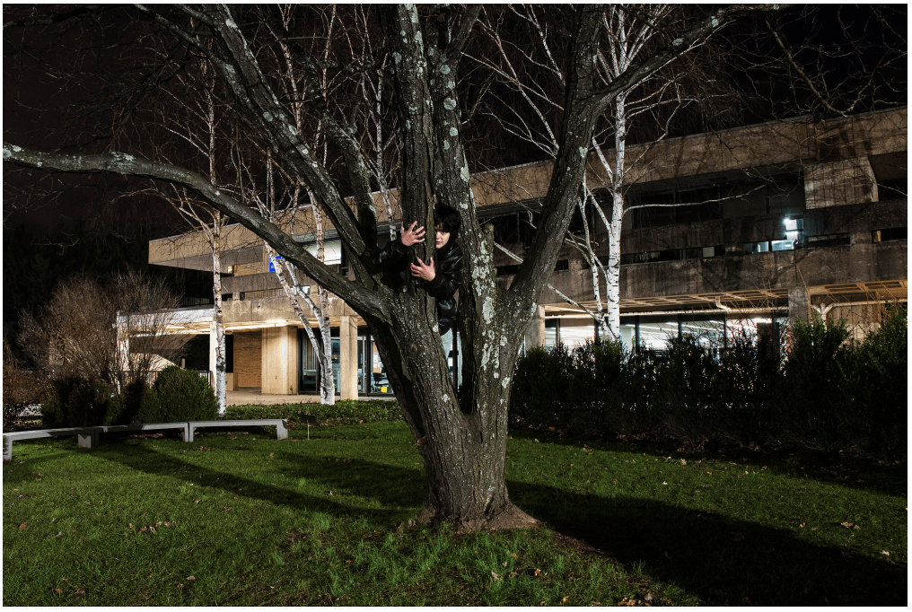 Scattered Nightmares: Treelogy - Bryan Segovia, Student, Rockland Community College